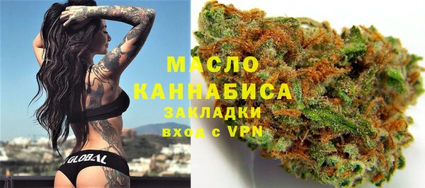 дмт Абаза