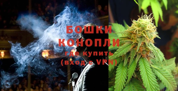гашик Нефтекумск