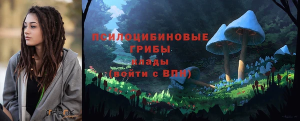 ГАЛЛЮЦИНОГЕННЫЕ ГРИБЫ Абдулино
