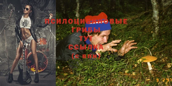 мдпв Нея