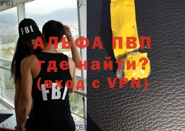 гашик Нефтекумск